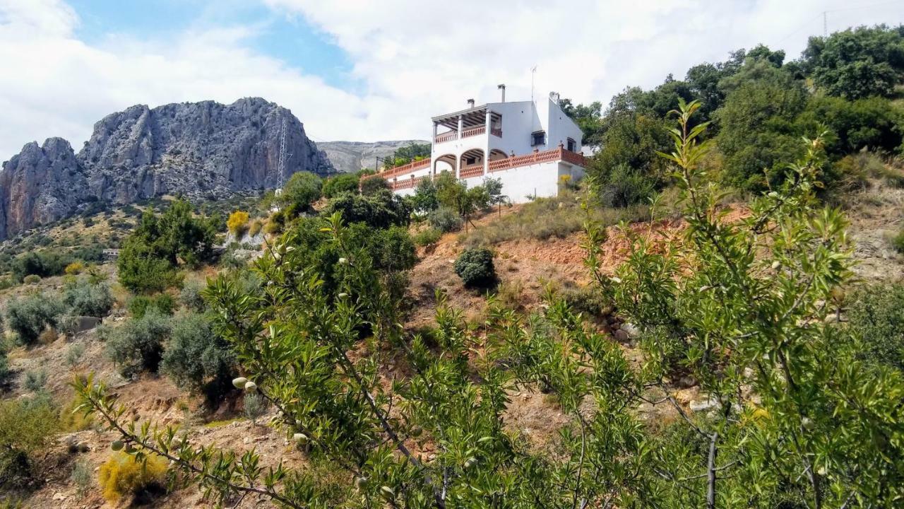 Casa Encina - Encinasola Turismo Rural. Alora Extérieur photo